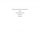 Gestión de Remuneraciones y Compensaciones