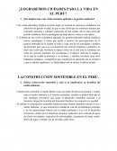 ¿Lograremos ciudades para la vida en el Perú?