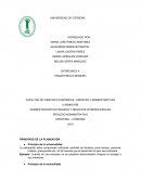Administración en finanzas y negocios internacionales. Proceso administrativo
