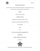 Socialización de exposición de trabajadores independientes, sistema general de riesgos laborales (ARL) y pictogramas dentro del ámbito laboral