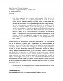 Los efectos de la globalización en nuestras vidas Un mundo desbocado