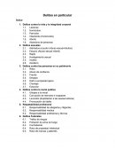 Delitos en particular