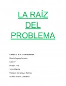 La Raíz del problema