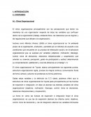 Desarrollo Organizacional Toyota