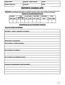 FORMATO DE REPORTE DIARIO APR. Página 1