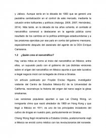 NARCOTRÁFICO EN SINALOA. Página 13