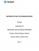 MATRICES: DETECCIÓN DE ERRORES