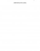 La administracion global