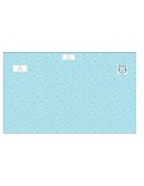 Plan Escolar de Supervision