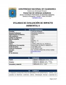 SYLLABUS DE EVALUACIÓN DE IMPACTO AMBIENTAL II