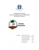 Preparación y evaluación de proyectos