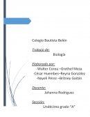 UNIDAD QUIMICA DE LAS PROTEINAS