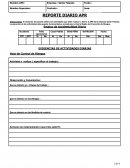 FORMATO DE REPORTE DIARIO APR