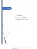 Caso ‘’Isabelle’’