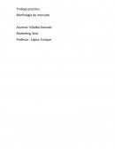 Trabajo practico: Morfología de mercado