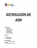 EXTRACCIÓN DE ADN
