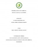 LA ESCUELA Y SU ENTORNO