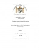 Efectos del IVA en actos de importación y exportación