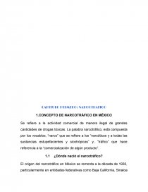 NARCOTRÁFICO EN SINALOA. Página 12