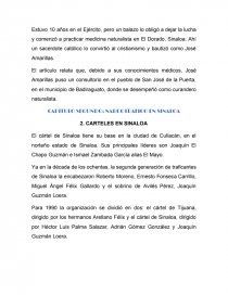 NARCOTRÁFICO EN SINALOA. Página 14