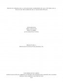 PROYECTO: MEJORA DE LA CAPACIDAD DE SUMINISTRO DE AGUA POTABLE DE LA PLANTA DE TRATAMIENTO DE LA CIUDAD DE IPIALES[