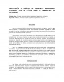 OBSERVACIÓN Y ANÁLISIS DE DIFERENTES MECANISMOS UTILIZADOS POR LA CÉLULA PARA EL TRANSPORTE DE SUSTANCIAS