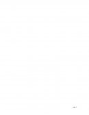 ANTECENDENTES DE LA EMPRESA