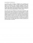 PROYECTOS EN EL FUTURO