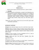 Practica N1 BIOMOLECULAS