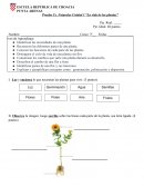 Prueba Cs. Naturales Unidad 1 “La vida de las plantas”