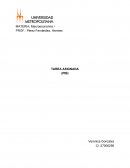 PIB (producto interno bruto)