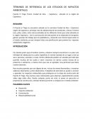 TÉRMINOS DE REFERENCIA DE LOS ESTUDIOS DE IMPACTOS AMBIENTALES