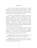 Caso empresa Toyoguacara C.A