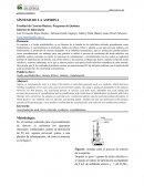 Síntesis de la aspirina
