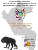 Informe sobre RABIA