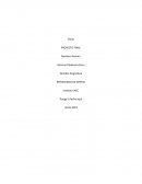 CASO BELTEC CONSTRUCTORA