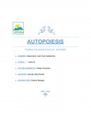 Autopoiesis de Maximiliano Vidal