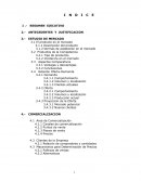 EL PRESENTE PROYECTO CONSISTE EN ESTABLECER Y OPERAR UNA EMPRESA APICOLA DE LA SOCIEDAD COOPERATIVA “APICOLA EL MEZQUITAL” S.C. DE R.L. DE C.V