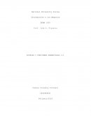 NIVELES Y FUNCIONES GERENCIALES