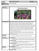 Visita al Real Jardín Botánico