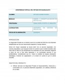 CONCEPTUALIZACION DE PROYECTOS UVEG