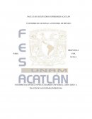 PROPUESTA PARA UNA NUEVA INTERPRETACION DEL TÓPICO LITERARIO UNIVERSAL CARPE DIEM A TRAVÉS DE LOS POEMAS INDIGENAS
