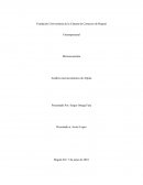 Análisis microeconómico de Alpina