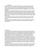 Seleccion de personal empresa PRONACER S.A