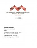 BIODIESEL Desarrollo Sustentable