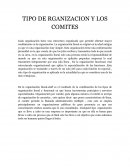 TIPO DE ORGANIZACION Y LOS COMITES