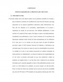 POTENCIALIDADES DE LA PROVINCIA DE CHUCUITO