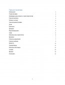 Estrategias para producir un buen texto formal