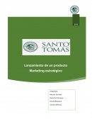 Lanzamiento de un producto. Carcasa para el teléfono biodegradable