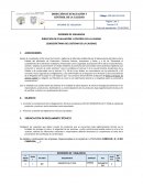 INFORME DE VIGILANCIA DIRECCION DE EVALUACIÓN Y CONTROL DE LA CALIDAD (SUBSECRETARIA DEL SISTEMA DE LA CALIDAD)